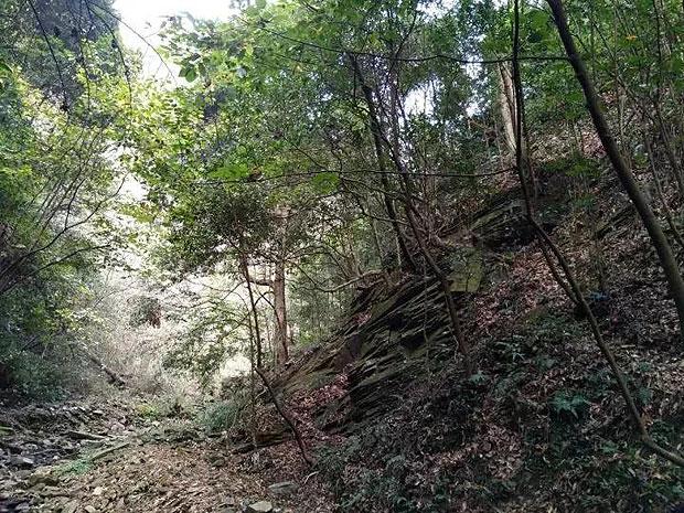 尽享知识星球平台榨菜的拼音?的独特魅力