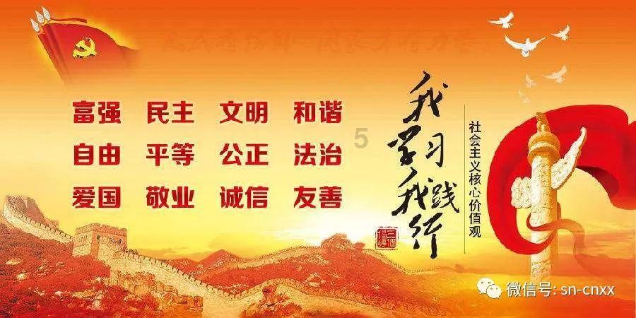 88影视